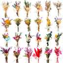 24 Pcs Dried Flowers Bouquet Boho Mini Dried Flower with Stem Small Floral Plants Mixed Natural Flowers Bundles for Crafts Vase DIY Photo Props Wedding Decoration