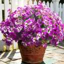 Grunyia Outdoor Artificial Flowers 16Pcs Fake Pansy Silk Flowers UV Resistant, Lifelike Faux Pansies for Planters Window Boxes Porch Garden Decor (Purple & Fuchsia)