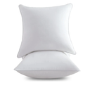 20 x 20 Pillow Inserts (Set of 2) - 20 Inch Square Interior Couch Throw Pillow with 100% Cotton Cover - Decorative Pillow Insert Pair - White Sofa Pillow