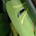 Hollyone 3FT Artificial Monstera Deliciosa Trees Fake Tropical Palm Plants