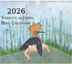 2026 Wall Calendar - Birds Wall Calendar 2026, 9.8" X 14.5"(Open), Funny Calendar 2026 Christmas Gag Gifts, Perfect White Elephant Gifts