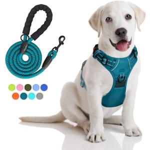 PoyPet No Pull Dog Harness and 5 Feet Leash Set, Release on Neck Reflective Adjustable Pet Vest, Front & Back 2 D-Ring and Soft Padded Pet Harness with Handle for Small to Large Dogs(Tumalo Teal,M) PoyPet No Pull Dog Harness and 5 Feet Leash Set, Release on Neck Reflective Adjustable Pet Vest, Front & Back 2 D-Ring and Soft Padded Pet Harness with Handle for Small to Large Dogs(Tumalo Teal,M)