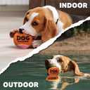 2 x AMA SPORT Squeaky Tennis Balls for Dogs 2.0" Small Dog Tennis Balls for Throwing and Fetching Dog Toys for Training, Exercise, High Bouncing 4 Pack (Orange Yellow)