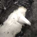 UGG Women's Classic Ultra Mini Boot (9, Legacy Black)