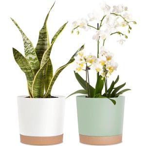 kubvici 8'' Plastic Flower Planter Pots Set of 2 Indoor Outdoor Planters with Drainage Saucer for Garden Home (Green & White, 8 inch)
