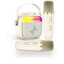 LENRUE Karaoke Machine for Kids, Birthday Gifts for Girls Boys with Wireless Microphone, Led Lights, Portable Bluetooth Speaker for Home, Family, Party (2MIC)