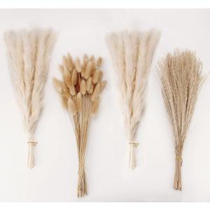 Natural Dried Pampas Grass Decor, White Pampas Grass Bunny Tails Dried Flowers, Reed Grass Bouquet for Wedding Boho Flowers Home Table Decor, Rustic Farmhouse Party (100 in Total )