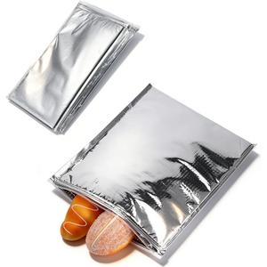 Insulated Food Storage Bag with Zipper Design, Hot Cold Cool Storage Bags for Food, Reusable Thermal Lunch Household Food Pouches Organizer Hot Sandwich Bags, 5PCS