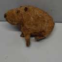 Cute Capybara Plush Stuffed Animal, 8.67inch Soft Capybara Plushie Kawaii Stuffed Toy, for Kids & Collectors