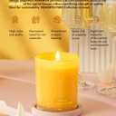 96NORTH | Pure Champagne Candle | 100% Natural Soy Wax | One Wick Jar Candle | Natural Fragrance Technology | Non Toxic | Up to 35 Hours Burning Time | Aromatherapy Gift for Men and Women