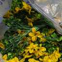 Artificial Fake Hanging Flowers Plants for Outdoor Spring Summer Decoration,2 PCS Faux Silk Daisy with Eucalyptus Leaves,UV Resistant Look Real for Outside Home Planter Porch Patio Balcony Yard Decor (Yellow)