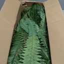 48In Artificial Boston Ferns Bush, Set of 2 Large Faux Ferns Plants, 67 Branches Fake Ferns for Home Living Room Decor, Indoor and Outdoor