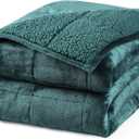Aemicion Plush Sherpa Weighted Blanket Queen Size 15lbs - Soft Cozy Fleece Heavy Weighted Blanket, Breathable and Washable -Gift for Women Men-Green