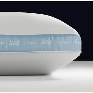 Sealy Dreamlife 1 Extra Firm Support Foam Core Pillow, King