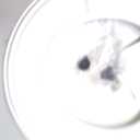 Bemis Slow Close Round Toilet Seat, Easy Clean Hinges, White