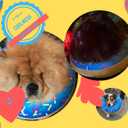 Dog Donut Collar | Alternative to Traditional or Soft Dog Cones | Inflatable Post-Surgery Cone for Small Dogs (Blue)