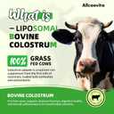 Liposomal Bovine Colostrum Powder - Pure Bovine Colostrum for Humans - Grass Fed Colostrum Supplement for Gut Support, Immune Health and Hair Growth,72 Servings per Bottle.180g/6.35 oz