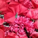 Flower Wall Backdrop,  22pcs, 13x13