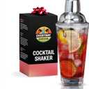 EVERYDAY COCKTAIL - Professional Glass Cocktail Shaker 14 oz, Martini Shaker with Recipes and Measurements, Built-in Strainer and Leakproof Seal, Clear Bar Tool for Margaritas, Martinis