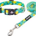 azuza Dog Collar and Leash Set, Lemon Patterns on Blue Nylon Collar and Matching 6ft Leash, Adjustable for Small Dogs (S (Neck: 11"-16"), 2#Fruit-Lemon)