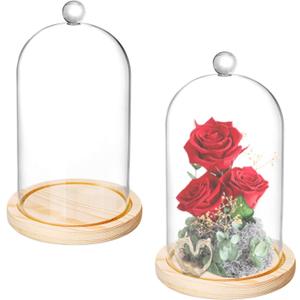 Lyellfe 2 Pack Cloche Glass Dome, 8'' x 5'' Dome Cloche with Rustic Wooden Base, Glass Cloche Bell Jar Display for Plants, Fairy Lights or Table Decor