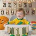 1st Birthday Highchair Banner Decorations Wild One High Chair Banner With Green Tassel Garland Crown Hat Wild One Cake Topper Baby Photo Banner Photoshoot Props Photo Props(Green)