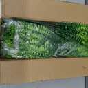 Coreland Outdoor Artificial Boston Fern Plants Bushes 20Packs Faux Plants Shrubs Greenery UV Resistant for House Office Garden Dcor