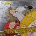 5FT Christmas Decorations Lighted Outdoor Nativity Scene Christmas Holy Family Nativity Scene Set with 175 Led Lights Ornament Xmas Decor Durable Waterproof for Yards & Lawns