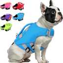 Queenmore Small Dog Life Jacket, Dog Life Vest for Swimming Boating, Puppy Life Jackets for Small Dogs, Ripstop Pet Life Vests with Rescue Handle Leash Hole, Safety Water Floating Vest, Hi-Vis Blue, S