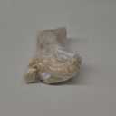 Douglas Zach Yellow Lab Dog Plush Stuffed Animal