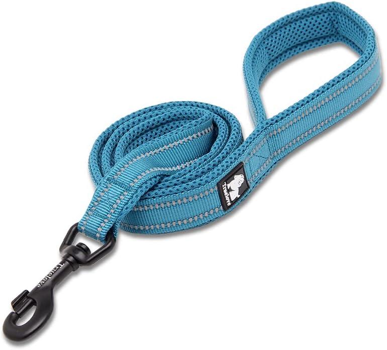 Truelove Reflective Dog Leash Puppy Walking Lead, Padded Pet Chain RopeLength 110cm TLL2111(Blue,L)
