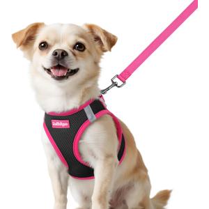 rabbitgoo Dog Harness Small Sized and Leash Set, Step-in Breathable Pet Harness, Soft Walking Reflective Puppy Vest for Small Dogs, Black & Rose Red, XXS