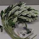 5PCS Faux Olive Branches for Vase Fake Plants with 72 Leaves Artificial Greenery Stems Green Branch Decoration Indoor 18 Inch