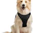 rabbitgoo Dog Harness No Pull with 2 Leash Clips, Adjustable Soft Padded, Reflective Oxford No Choke Pet Vest with Easy Control Handle for Medium Sized Dogs, Black, M