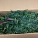 4FT Artificial Topiary Cedar Trees, Realistic 2 Set Outdoor Christmas Trees