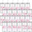 Pickmesh 24 Pcs Christmas Plastic Cups Bulk 13.5 oz Reusable Cups with Lid and Straw Pink Cold Drink Coffee Water Beverage Tumbler Gifts for Adults Xmas Party Favor Holiday Supplies