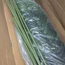 Worth Garden 6ft Artificial Areca Palm Plant 2 Packs in Pot, Fake Cane Palm Silk Tree Indoor Outdoor, Dypsis Lutescens, 70in Lifelike Faux Silk Plant Home Decor