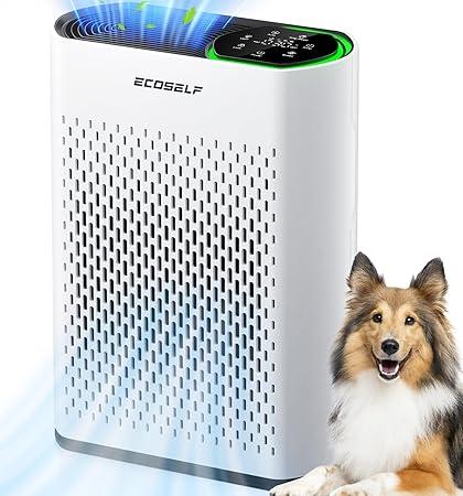 Powerful Air Purifiers for Home Large Room 06