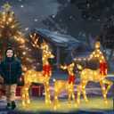 48 Inch 2.5D Gold Lighted Christmas Deer Decorations 3-Piece Outdoor Holiday Decorations Reindeer Set with 145 Warm White LEDs, Large Yard Display for Garden, Storefront