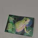 National Audubon Society Pocket Guide to Familiar Reptiles and Amphibians