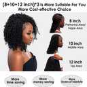 Yanky Twist Crochet Hair (8+10+12inch)*3,Total 9 packs,3 Tones Auburn Blonde,Pre-Looped Curly Mini Passion Twist,Pre-Twisted Micro Spring Twist,Yankee Twist Senegalese Twist Crochet Hair (OT1B/30/27#)