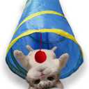 Cat Tunnel Tube ToysTunnels for Indoor Cats, 2 Way Collapsible Interactive Toy with Balls for Rabbits, Kittens, Ferrets, Puppy
