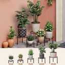 5 Pack Metal Plant Stand Heavy Duty Metal Plant Shelf for Multiple Plants Anti-Rust Iron Flower Pot Stand Holder for Home Garden