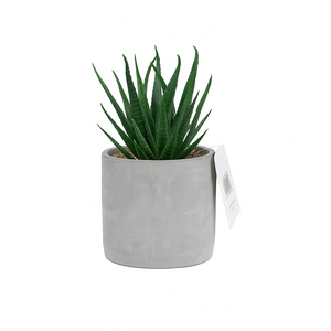 Kurrajong Farmhouse Artificial Plant Indoor | 7" high Fake Plant | Artificial Succulent in Pot | Fake Succulent | Faux Plant in Pot for Desk Decor