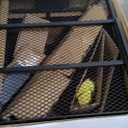 CURT 18153 60 x 24-Inch Basket Hitch Cargo Carrier, 500 lbs Capacity, Black Steel, 2-In Folding Shank