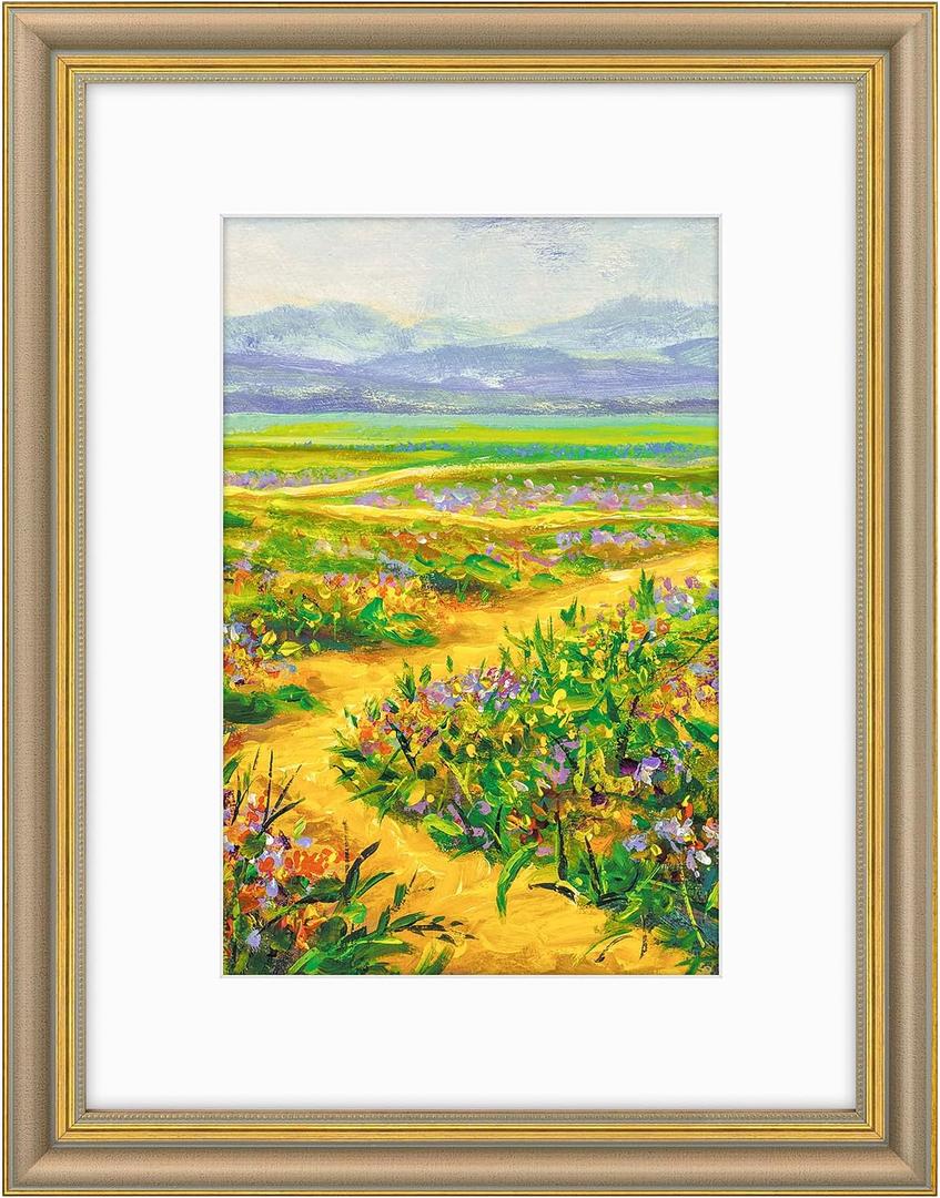 Golden State Art,12x16 Ornate Picture Frame Holds 8x12 Photo,Champagne Gold
