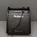 Roland PM-100 Compact Electronic V-Drum Set Monitor, 80-Watt