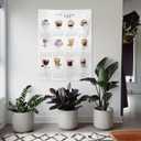 2026 Coffee Calendar Tapestry, 70x100cm Drink Wall Hanging, Modern Home Decor with Hook & 3M Adhesive for Kitchen Office Coffee Bar