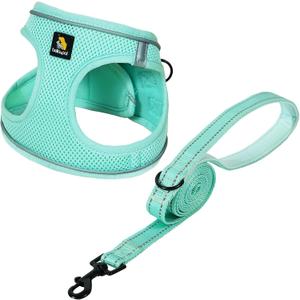 BELLA & PAL Dog Harness and Leash Set, Step-in Puppy Harness, Breathable Air Mesh with Reflective Strips, No Pull Vest for Puppies/Extra Small/Small Dogs, Mint, M