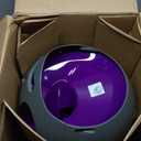 PetSafe Automatic Ball Launcher - Interactive Dog Toy for Enrichment - Tennis Balls Included - Motion Sensor Promotes Safe Play - Indoor & Outdoor - Adjustable Range - A/C Adaptor or Batteries